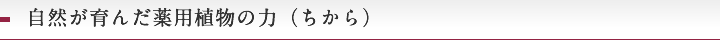 自然が育んだ薬用植物の力（ちから）